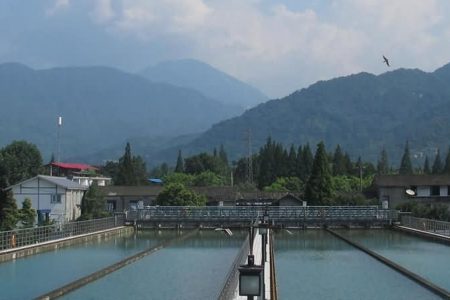 都江堰岷江水务集团有限公司标准化复评达标建设服务项目 成都安全评价邓经理